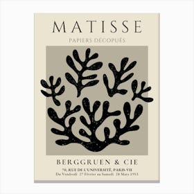 Matisse Papers Deco 4 Canvas Print