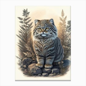 Pallas Cat 2 Canvas Print