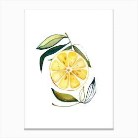 Lemon 2 Canvas Print