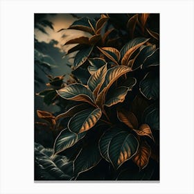 Dark Forest 1 Canvas Print