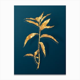 Vintage Dayflower Botanical in Gold on Teal Blue n.0046 Canvas Print