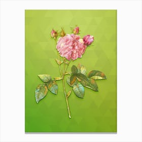 Vintage Pink Agatha Rose Botanical Art on Love Bird Green n.1305 Canvas Print