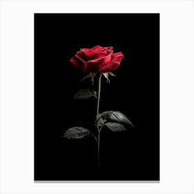 Single Red Rose On Black Background 3 Canvas Print