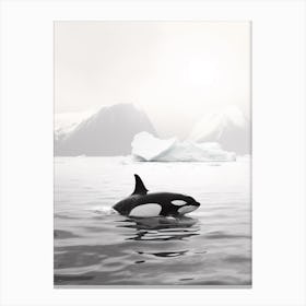Black & White Photography Of Orca Whale With Iceberg Canvas Print