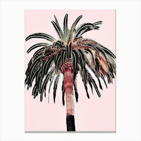 Palm Tree Canvas Print Canvas Print