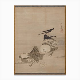 Roosters, Hen, And Chicks (1795), Itō Jakuchū Canvas Print
