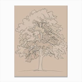 Oak Tree Minimalistic Drawing 3 Canvas Print