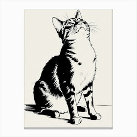 Cat Looking Up 2 Canvas Print