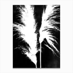 Black white pampas grass Canvas Print