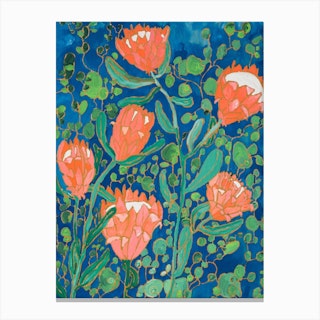 Coral Proteas Painted On Blue Canvas Print