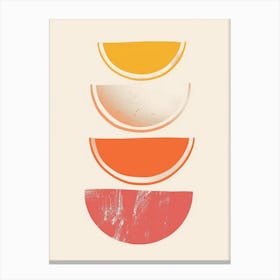 Orange Slices 6 Canvas Print