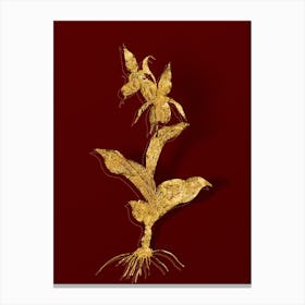 Vintage Lady's Slipper Orchid Botanical in Gold on Red n.0415 Canvas Print