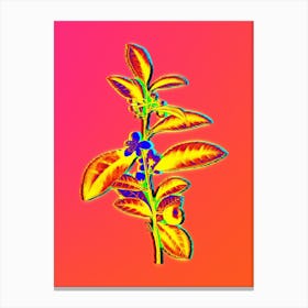 Neon Tea Tree Botanical in Hot Pink and Electric Blue n.0374 Canvas Print