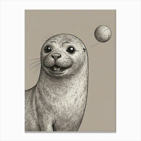 Seal With A Ball Canvas Print