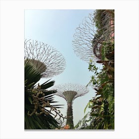 Gardens By The Bay Canvas Print
