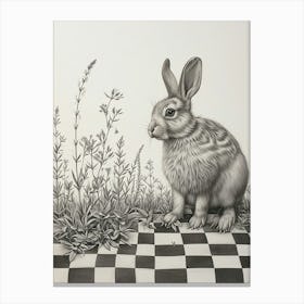 Checkered Giant Rabbit Drawing 3 Canvas Print