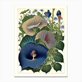 Morning Glory 3 Floral Botanical Vintage Poster Flower Canvas Print