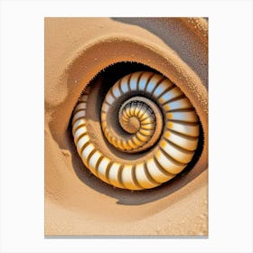 Eye Of The Nautilus Canvas Print