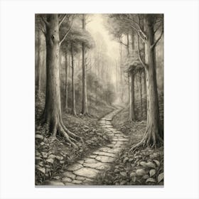 Path In The Woods 13 Canvas Print