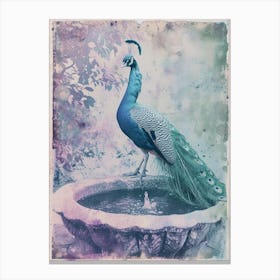 Lilac & Blue Peacock In A Fountain Cyanotype Inspired Canvas Print