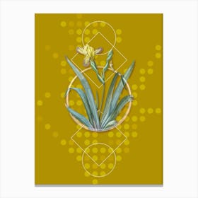 Vintage Hungarian Iris Botanical with Geometric Line Motif and Dot Pattern n.0239 Canvas Print
