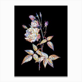 Stained Glass Common Rose of India Mosaic Botanical Illustration on Black n.0013 Canvas Print