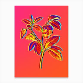 Neon Papaw Tree Branch Botanical in Hot Pink and Electric Blue n.0147 Canvas Print