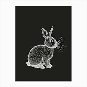 Mini Sable Rabbit Minimal Illustration 2 Canvas Print