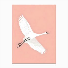 Egret In Flight 1 Canvas Print