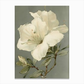 Rhododendron Canvas Print