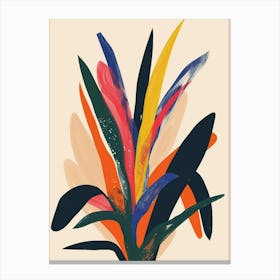 Bromeliad Plant Minimalist Illustration 3 Canvas Print