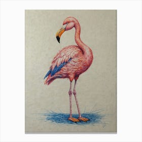 Flamingo 29 Canvas Print