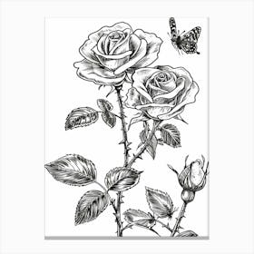 Butterfly Rose Line Drawing 3 Canvas Print