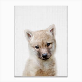 Peekaboo Wolf Canvas Print