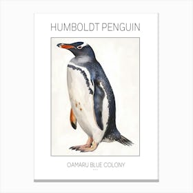 Humboldt Penguin Oamaru Blue Penguin Colony Watercolour Painting 2 Poster Canvas Print