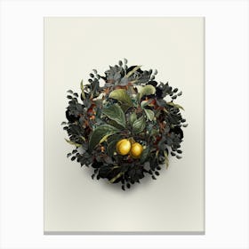 Vintage Ripe Plums on Branch Fruit Wreath on Ivory White n.2107 Canvas Print
