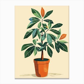 Money Tree Plant Minimalist Illustration 8 Canvas Print