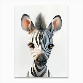 Baby Zebra Canvas Print