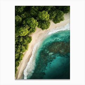 Aerial View Of A Tropical Beach 5 Canvas Print