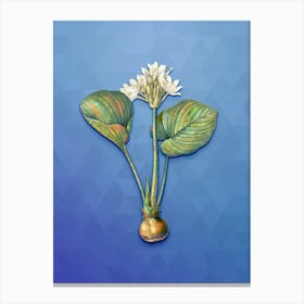 Vintage Cardwell Lily Botanical Art on Blue Perennial n.0661 Canvas Print