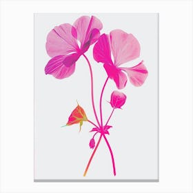 Hot Pink Nasturtium 1 Canvas Print