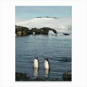 Antarctic Penguin Friends Canvas Print