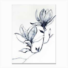 Magnolia 33 Canvas Print