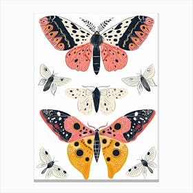 Colourful Insect Illustration Butterfly 6 Canvas Print