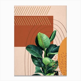 Abstract Shapes Ficus Elastica Canvas Print