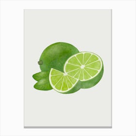 Lime Slices And Leaves Canvas Print
