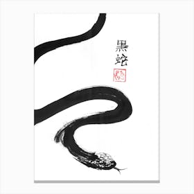 Black Snake Canvas Print