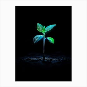 Young Plant In The Dark 6 Canvas Print