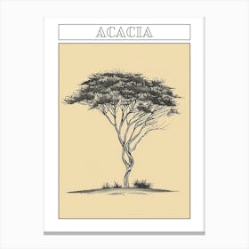 Acacia Tree Minimalistic Drawing 1 Poster Canvas Print