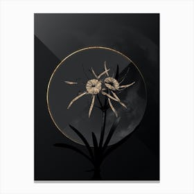 Shadowy Vintage Streambank Spiderlily Botanical on Black with Gold n.0052 Canvas Print